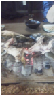 1304033.png